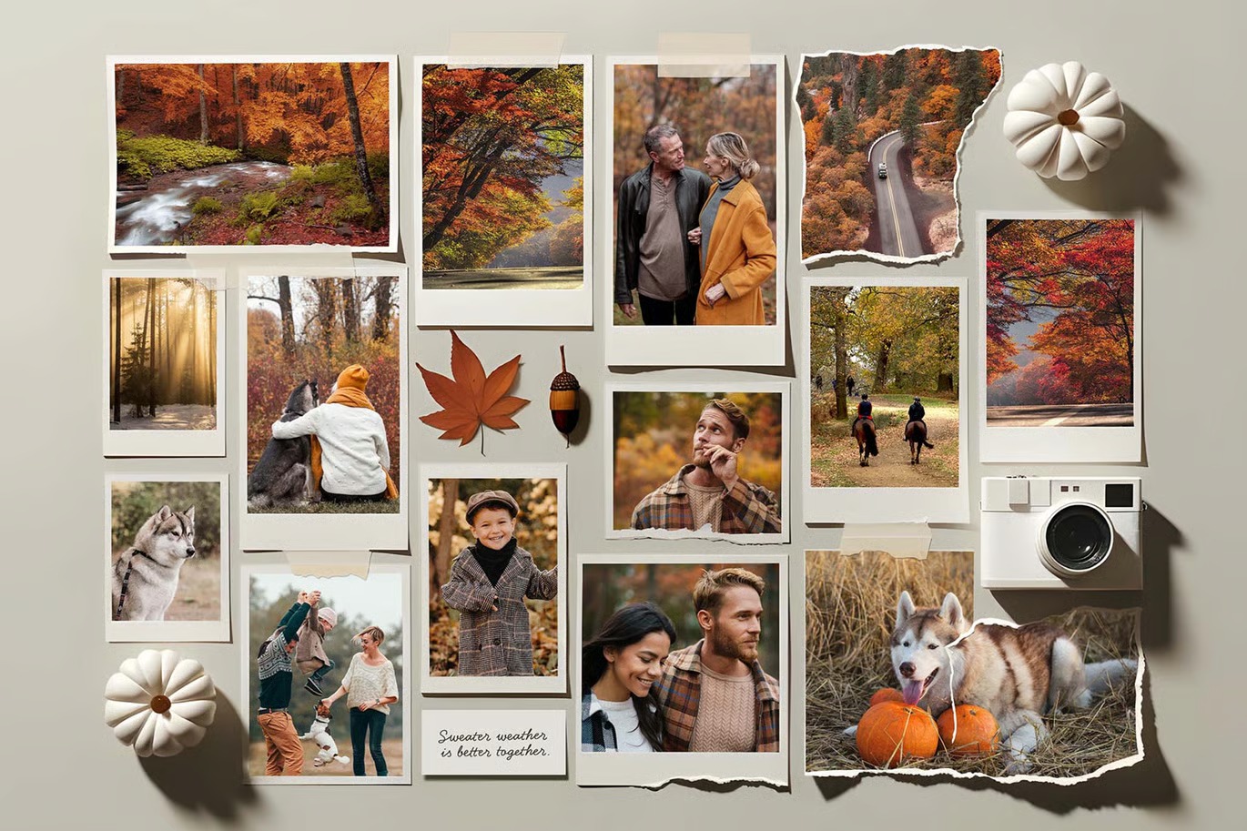 Autumn-Fall Photo Collage Free PSD Template